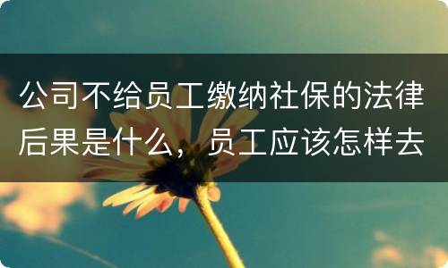 公司不给员工缴纳社保的法律后果是什么，员工应该怎样去应对