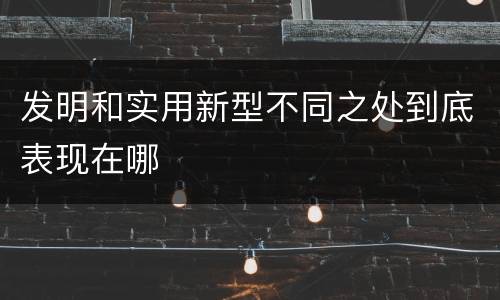 发明和实用新型不同之处到底表现在哪
