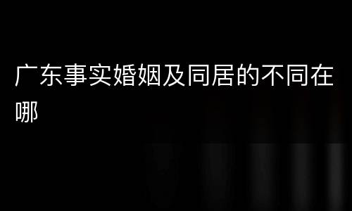 广东事实婚姻及同居的不同在哪