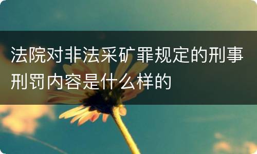 法院对非法采矿罪规定的刑事刑罚内容是什么样的