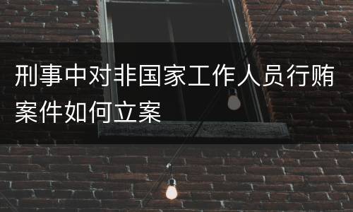 刑事中对非国家工作人员行贿案件如何立案