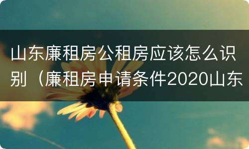 山东廉租房公租房应该怎么识别（廉租房申请条件2020山东）