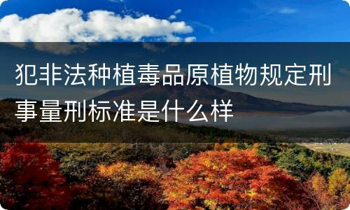 犯非法种植毒品原植物规定刑事量刑标准是什么样