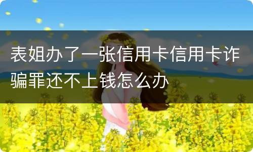 表姐办了一张信用卡信用卡诈骗罪还不上钱怎么办
