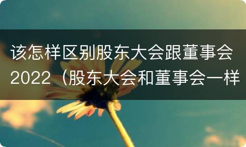 该怎样区别股东大会跟董事会2022（股东大会和董事会一样吗）