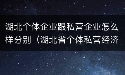 湖北个体企业跟私营企业怎么样分别（湖北省个体私营经济发展中心地址）
