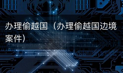 办理偷越国（办理偷越国边境案件）