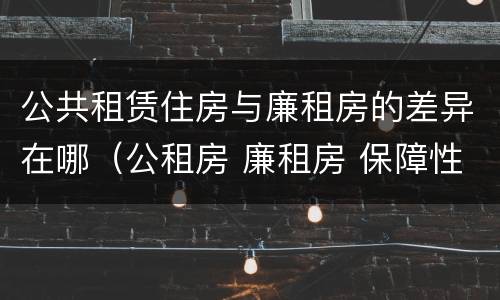 公共租赁住房与廉租房的差异在哪（公租房 廉租房 保障性住房区别）