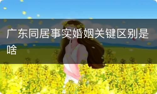 广东同居事实婚姻关键区别是啥