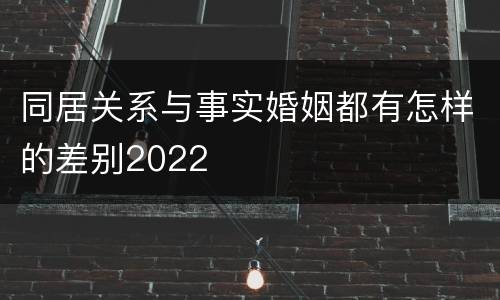 同居关系与事实婚姻都有怎样的差别2022