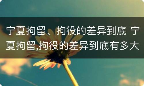 宁夏拘留、拘役的差异到底 宁夏拘留,拘役的差异到底有多大