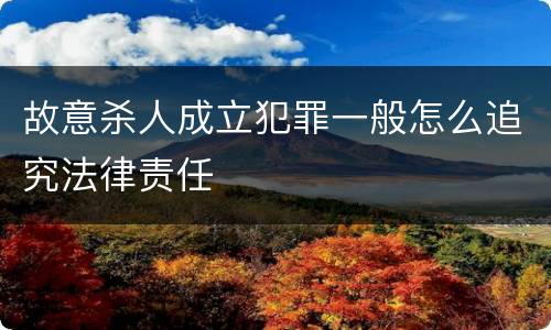 故意杀人成立犯罪一般怎么追究法律责任