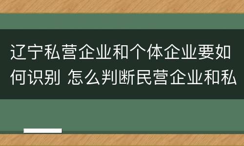 辽宁私营企业和个体企业要如何识别 怎么判断民营企业和私营企业