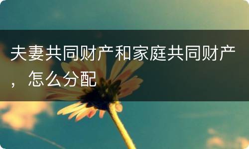 夫妻共同财产和家庭共同财产，怎么分配