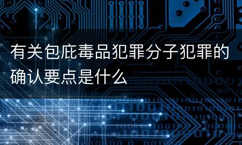 有关包庇毒品犯罪分子犯罪的确认要点是什么