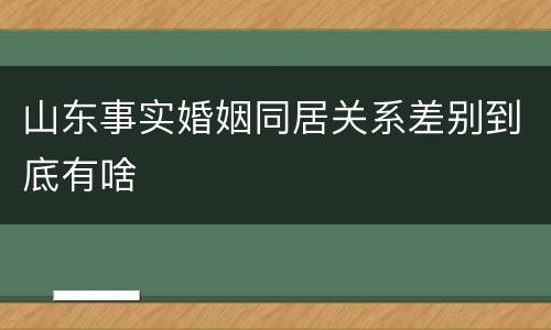 山东事实婚姻同居关系差别到底有啥