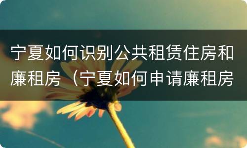 宁夏如何识别公共租赁住房和廉租房（宁夏如何申请廉租房）