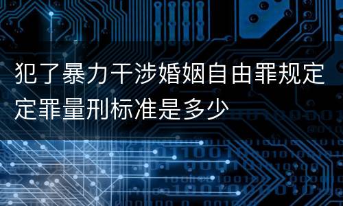 犯了暴力干涉婚姻自由罪规定定罪量刑标准是多少