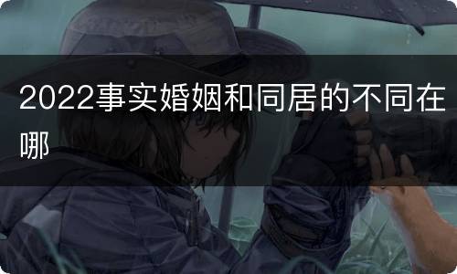 2022事实婚姻和同居的不同在哪