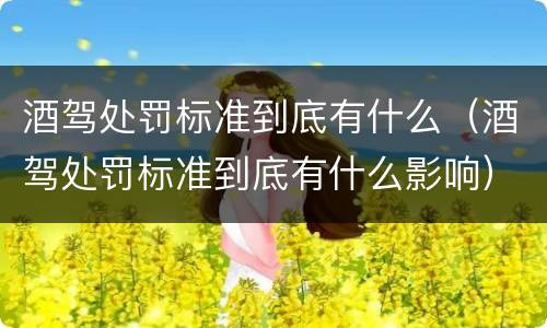 酒驾处罚标准到底有什么（酒驾处罚标准到底有什么影响）
