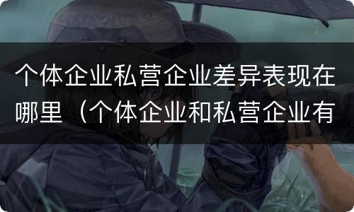 个体企业私营企业差异表现在哪里（个体企业和私营企业有什么区别和联系）