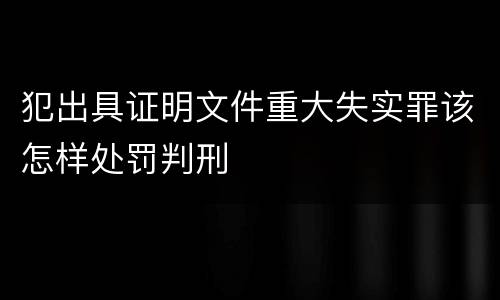 犯出具证明文件重大失实罪该怎样处罚判刑