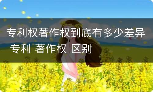 专利权著作权到底有多少差异 专利 著作权 区别