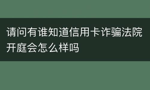 请问有谁知道信用卡诈骗法院开庭会怎么样吗