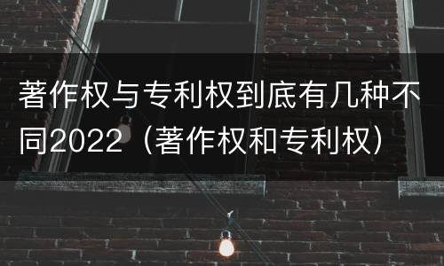 著作权与专利权到底有几种不同2022（著作权和专利权）