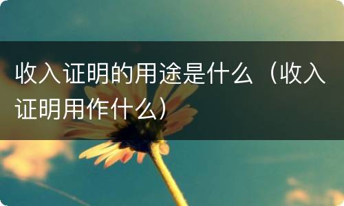 收入证明的用途是什么（收入证明用作什么）