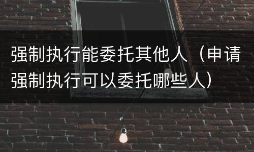 强制执行能委托其他人（申请强制执行可以委托哪些人）