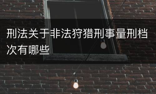 刑法关于非法狩猎刑事量刑档次有哪些