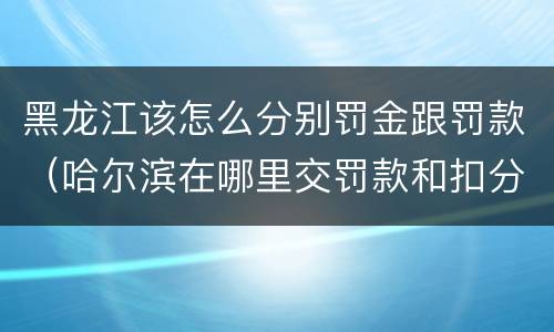 黑龙江该怎么分别罚金跟罚款（哈尔滨在哪里交罚款和扣分）