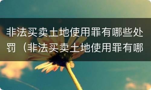 非法买卖土地使用罪有哪些处罚（非法买卖土地使用罪有哪些处罚规定）