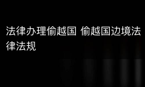 法律办理偷越国 偷越国边境法律法规
