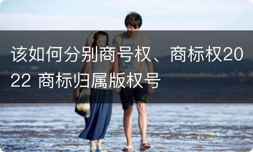 该如何分别商号权、商标权2022 商标归属版权号