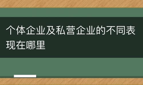 个体企业及私营企业的不同表现在哪里