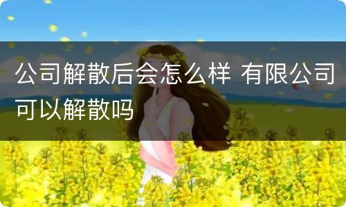 公司解散后会怎么样 有限公司可以解散吗