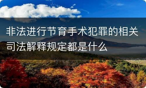 非法进行节育手术犯罪的相关司法解释规定都是什么