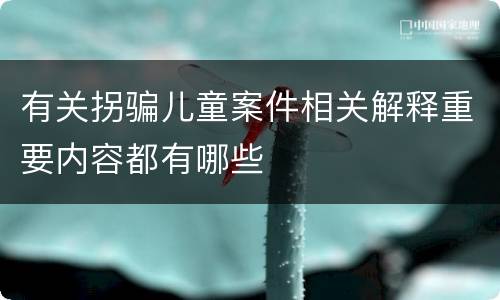有关拐骗儿童案件相关解释重要内容都有哪些