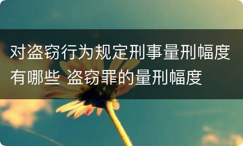 对盗窃行为规定刑事量刑幅度有哪些 盗窃罪的量刑幅度