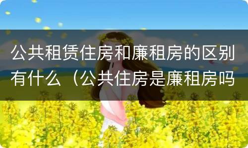 公共租赁住房和廉租房的区别有什么（公共住房是廉租房吗）