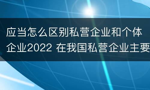 应当怎么区别私营企业和个体企业2022 在我国私营企业主要包括哪些形式