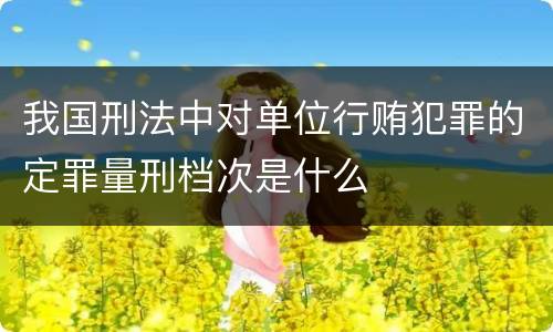 我国刑法中对单位行贿犯罪的定罪量刑档次是什么