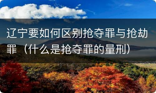 辽宁要如何区别抢夺罪与抢劫罪（什么是抢夺罪的量刑）