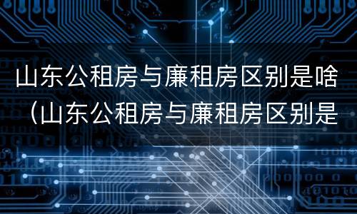 山东公租房与廉租房区别是啥（山东公租房与廉租房区别是啥啊）