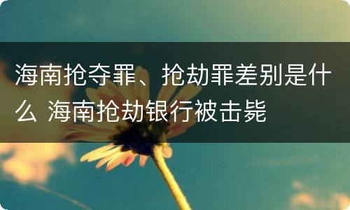 海南抢夺罪、抢劫罪差别是什么 海南抢劫银行被击毙