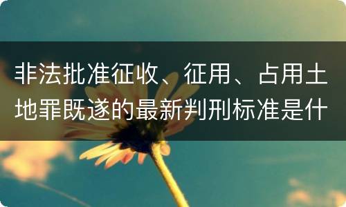 非法批准征收、征用、占用土地罪既遂的最新判刑标准是什么