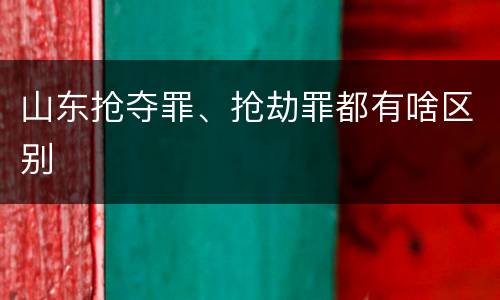 山东抢夺罪、抢劫罪都有啥区别