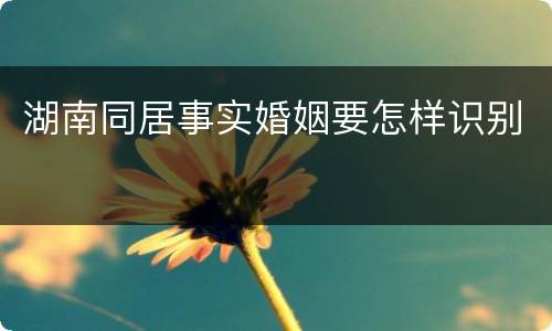 湖南同居事实婚姻要怎样识别